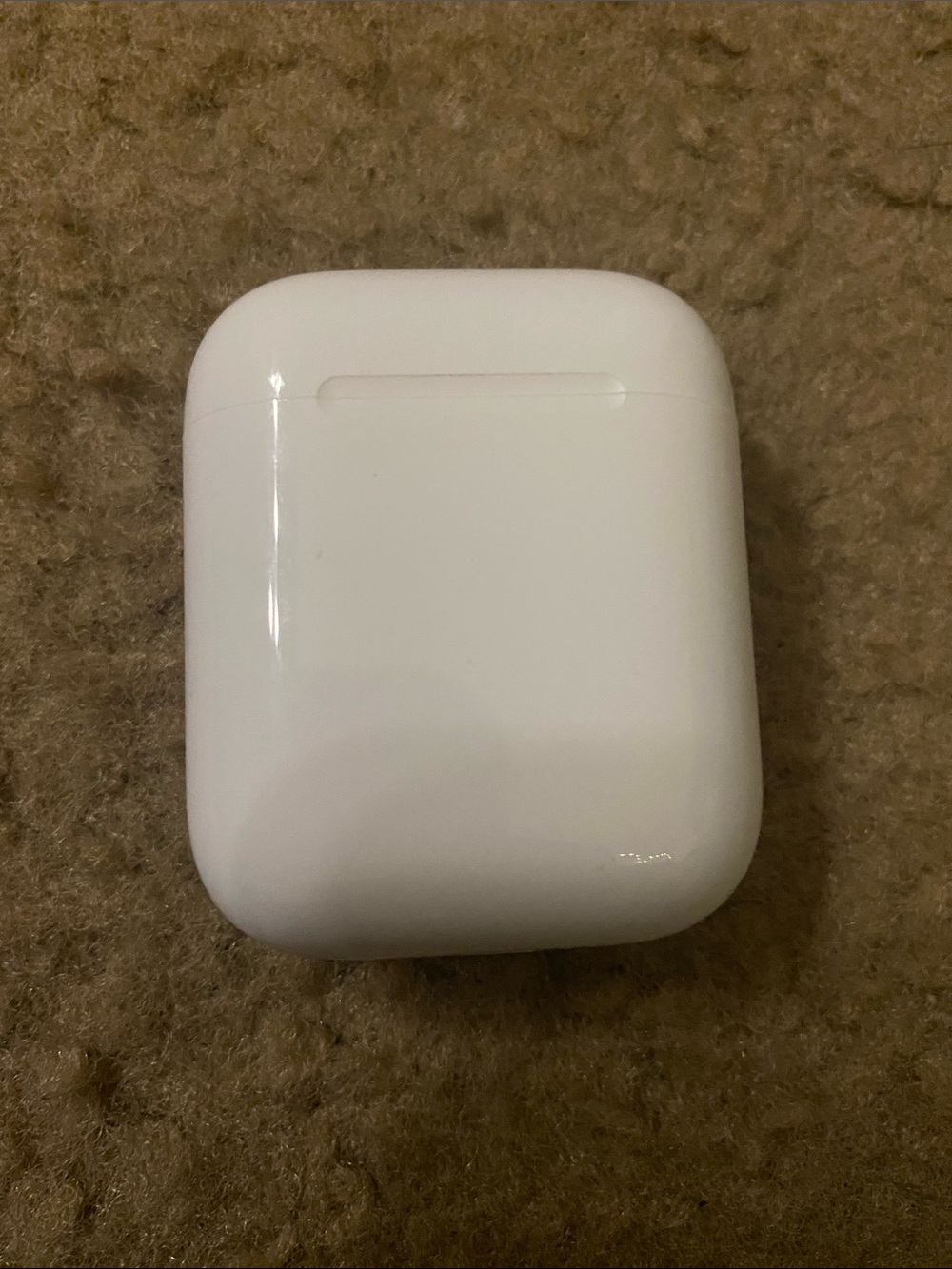Apple White Earbud Charging Case